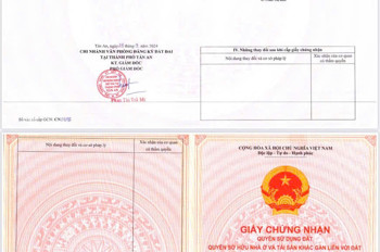 CHÍNH CHỦ Cần Bán 5600M2 Đất Lúa - MẶT TIỀN Châu Thị Kim, An Vĩnh Ngãi, TP Tân An, Long An
