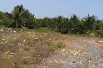 ĐẤT CHÍNH CHỦ - Bán 12.000M2 Đất Lúa - 2 Mặt Tiền Châu Thị Kim, An Vĩnh Ngãi, TP Tân An