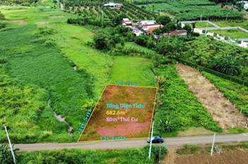 Chủ cần bán 682m² đất mặt tiền đường nhựa y hình tại Đá Bạc, Châu Đức. Gần Hồ Đá Bàng mát mẻ,
