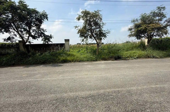 BÁN LÔ ĐẤT CÔNG NGHIỆP NHỊ XUÂN – HÓC MÔN – DT KHỦNG 7.700m²