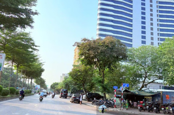 Bán Biệt Thự Từ Liêm 175m - MT 12m - 4 Tầng - Chỉ 240tr/m Gần Ngoại Giao Đoàn Công viên Hòa Bình