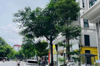 Nhà mặt Phố Khương Đình-Kinh doanh sầm uất- 48m, 7 tầng, Thang máy. 22.9 tỷ