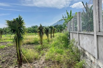 HOT HOT - CẦN BÁN 3 LÔ ĐẤT  TẠI xã hàm minh, huyện Hàm Thuận Nam, tỉnh Bình Thuận