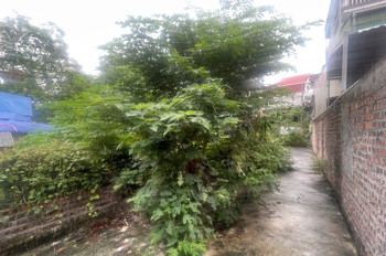 Chính chủ cần bán 30 m2 Đông Mai- hà Đông ( phường Yên Nghĩa mới), giá chỉ 2 tỷ, LH 0985865658