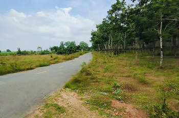 Diện tích 25400m2 đất tại Hoà Bình, Xuyên Mộc , BRVT