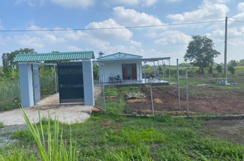 Nhà vườn 2000mv trái cây sẳn mt nhựa giá 4ty5 thương lượng