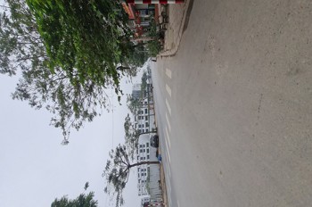 💯 Đất 80m2 Đấu Giá Thuận An (Đặng Xá) Trục Chính MT 7m Sổ Sẵn Giá 7 Tỷ X 🔥 Lh 0989894845 🔥