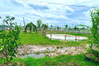 * BÁN ĐẤT NGHỈ DƯỠNG TRUNG TÂM GÒ DẦU – CƠ HỘI ĐẦU TƯ SINH LỜI TẠI TÂY NINH