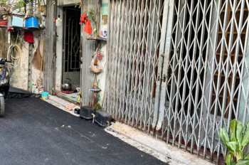 Bán 2 căn nhà liền nhau hẻm 6m Nguyễn Văn Săng, phường Tân Sơn Nhì, quận Tân Phú