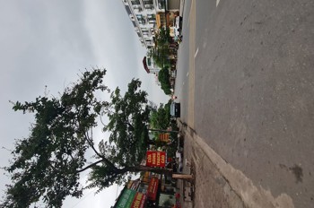 Bán đất Trâu Quỳ – Gia Lâm – Hà Nội 121m2 mặt đường 12m. Lh 0989894845