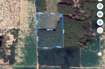 CHÍNH CHỦ CẦN BÁN Đất Sơn Mỹ, Hàm Tân, Bình Thuận