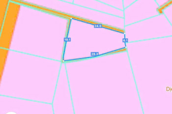 Có lô đất ở Tam Phước, Long Điền như sau:
🍀 DT: 338mv, sẵn 50tc, còn lại cây LN