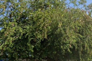 Chủ bán nhà cấp 4 và đất 2 mặt tiền đường 30/4, phường Phước thắng, TP Hồ Chí Minh,