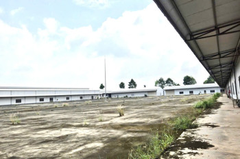 Bán xưởng 40.000m2 SKC huyện Trảng Bom, Đồng Nai giá chỉ 65 tỷ ~~1,6Tr/m2