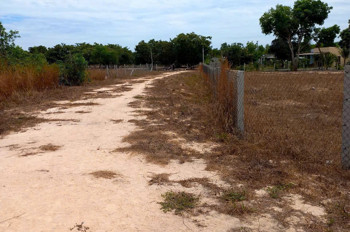 ĐẤT ĐẸP – GIÁ TỐT  – CHÍNH CHỦ CẦN BÁN 2 LÔ ĐẤT TẠI XÃ TÂN BÌNH VÀ XÃ PHƯỚC TIẾN - Tx La Gi