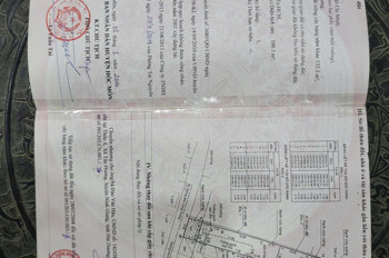 NHÀ + KHO (8x63) DTSD 500M² ĐƯỜNG 6M THÔNG BÙI CÔNG TRỪNG – NHỊ BÌNH 6, HÓC MÔN