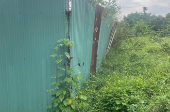 LÔ ĐẤT GÓC 2MT NHỊ BÌNH (ĐÔNG THẠNH), HÓC MÔN GẦN SÔNG SG, PHÀ AN SƠN CHỈ 14,5 TỶ