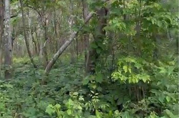 🌟 CHUYỂN NHƯỢNG 160 HECTA ĐẤT DỰ ÁN – HÀM TÂN, BÌNH THUẬN 🌟