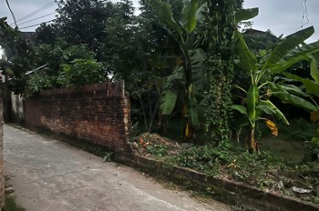 ĐẤT ĐẸP - GIÁ TỐT - CHÍNH CHỦ CẦN BÁN NHANH  Lô Đất Vị Trí Đắc Địa Hậu Sơn Hoài, Tân Minh, Sóc Sơn