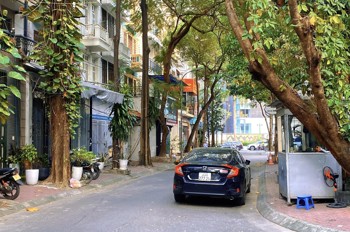 nổi bật một căn ! Phân lô mặt ngõ Nguyễn Khánh Toàn, ô tô tránh hoạt động, 80m, Mặt tiền 9m