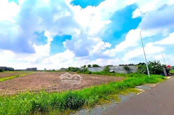 Bán Rẻ Sào đất (20x100=2000m2) Gần Hồ Du Lịch Thanh An, Dân Cư đông, Thuận Tiện Buôn Bán, 500tr