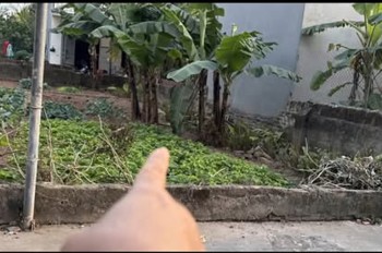 66,4m² đất đẹp Thọ Xuân – Đan Phượng - Ô tô tránh, vị trí kết nối cực tiện