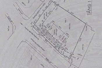 SIÊU HOT – BÁN NHÀ & XƯỞNG (371M²) GÓC NGÃ TƯ ĐƯỜNG NHỰA ĐÔNG THẠNH, HÓC MÔN