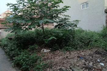 CC EM CẦN TIỀN MUỐN LÔ ĐẤT Ở HIỆP THẬN PHÚC THỌ.
DIỆN TÍCH 42M - MẶT -HẬU 4M NHƯ NHAU,
CÁCH ĐƯỜNG