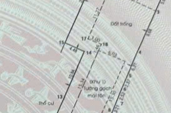 HÀNG NGỘP CỰC HIẾM NHÀ VƯỜN HƠN 500M² GIỮA LÒNG TÂN XUÂN – CHỈ 16 TỶ!