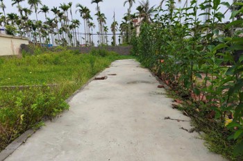 Lô nhỏ 44m² giá hiếm Hoà Nghĩa – gần đường 4 làn, thanh khoản cực nhanh  ZALO 0567 222 555