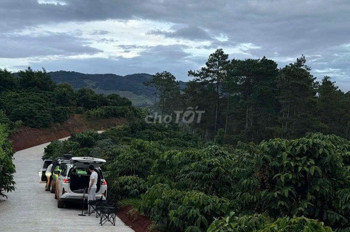 Cần thanh lý lô đất chính chủ giá 450tr