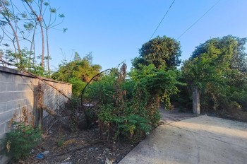 ĐẤT ĐẸP - GIÁ TỐT - CHÍNH CHỦ Cần Bán Nhanh Lô đất 3725 m2 Tại Xã Phước Hải, Long Đất, Bà Rịa 