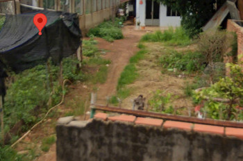 CHÍNH CHỦ BÁN ĐẤT ĐẸP TẶNG THÊM NHÀ CẤP 4– VỊ TRÍ TRUNG TÂM ĐỒNG XOÀI, BÌNH PHƯỚC