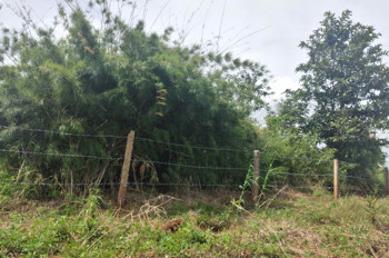 CHÍNH CHỦ BÁN GẤP LÔ ĐẤT NGỘP TẠI IA RONG , CHƯ PƯH , GIA LAI