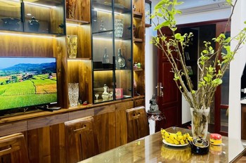 Bán nhà trung tâm Hà Nội 3 ngủ ô tô đỗ cửa chỉ nhỉnh 16 tỷ