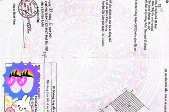 CHÍNH CHỦ CẦN BÁN 40 M2 THÔN LỜI-ĐẶNG XÁ, GIÁ CHỈ 3.45 TỶ, LH 0985865658