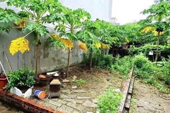 ĐỔI CHỦ CHO ĐẤT THỔ CƯ 41,9M² – CAO XÁ, HOÀI ĐỨC, HÀ NỘI