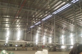 CHO THUÊ KHO XƯỞNG 3000M² TẠI VĂN GIANG, HƯNG YÊN - GIÁ HẤP DẪN