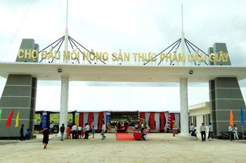 Sốt Dầu Giây! Đất Nền Sổ Hồng Riêng Full Thổ Cư – Giá Từ 19 Triệu/m²