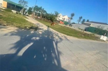 HOT HOT - CẦN BÁN LÔ ĐẤT VỊ TRÍ ĐẸP  TẠI khối 8 xã nghi phong,huyện Nghi Lộc, tỉnh Nghệ An