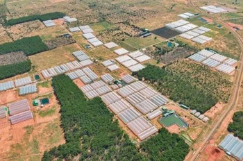 Chính Chủ Bán Lô Đất Đẹp – Gần 5 Ha + 300M² Thổ Cư – Thôn 2, Xã Hàm Liên, Hàm Thuận Bắc, Bình Thuận