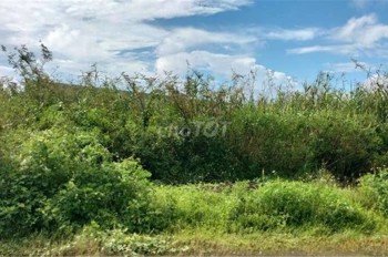 ĐẤT CHÍNH CHỦ - SỔ HỒNG RIÊNG - Bán ĐẤT KHU DU LỊCH SUỐI MƠ - ĐỒNG NAI