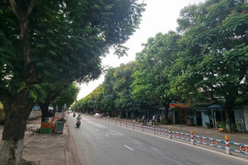 Bán đất xây biệt thự tuyệt đẹp ngay Huỳnh Văn Nghệ-0909808615