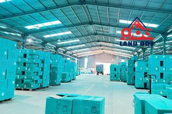 chuyển nhượng nhà xưởng đang cho thuê, khung thép kiên cố, xa dân cư phù hợp SX ngày đêm