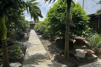 Bán nhà mặt tiền 36x28m giá 25 tỷ Đường 7m Phạm Văn Sáng