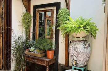 CHÍNH CHỦ SANG NHƯỢNG TIỆM HOA - CÓ THỂ KẾT HỢP LÀM QUÁN CAFE TRUNG TÂM BA ĐÌNH, HÀ NỘI