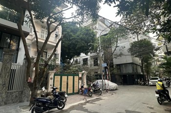 Biệt Thự Cầu Giấy, ô tô tránh, 133m, 4 tầng, mt 7,2m, 41 Tỷ