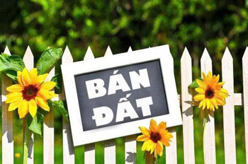 BÁN ĐẤT PHỐ VỊ DƯƠNG – MỸ XÁ (PHƯỜNG THÀNH NAM) – TP. NAM ĐỊNH