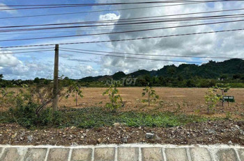 Đất nền vi trí đẹp. thuận lợi cho xây nhà máy, thuê kho trữ sầu riêng