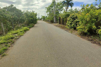 Bông trang 20m mt nhựa 100tc giá 130tr/ m tl